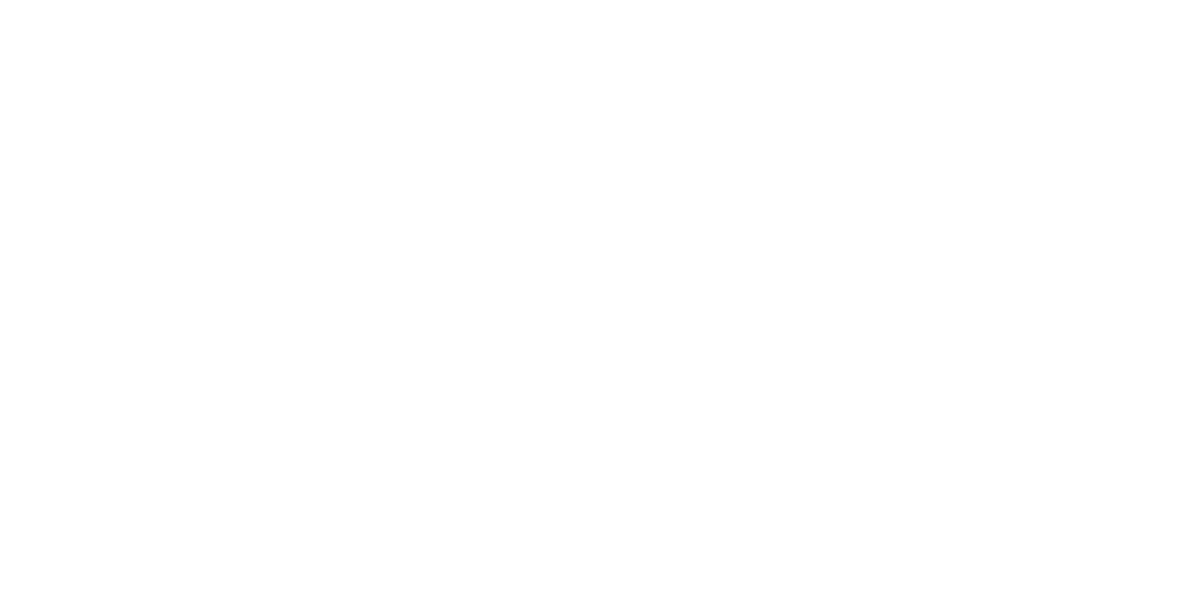 Noah's NY Bagels logo
